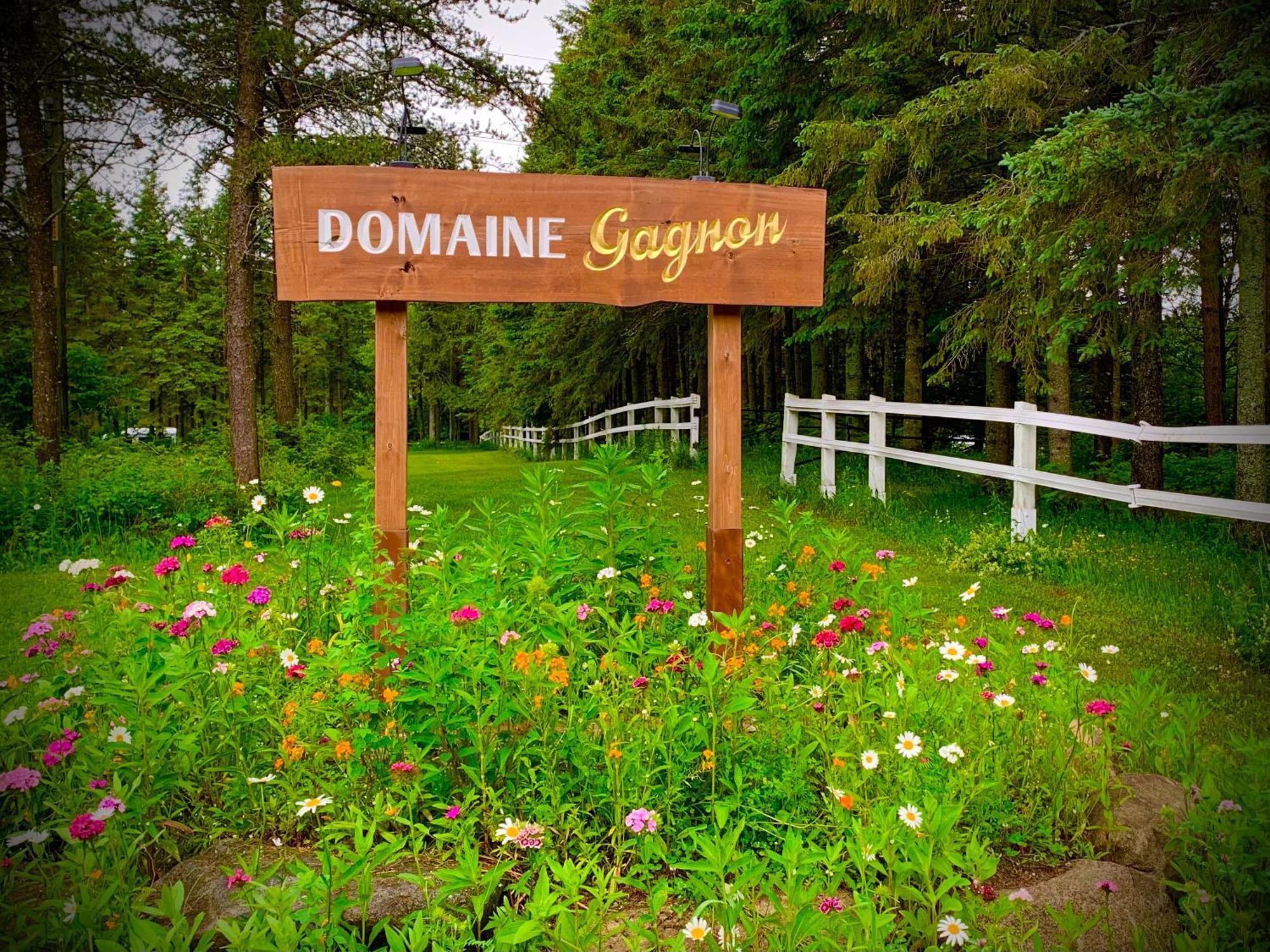 Domaine Gagnon Villa Saint Sebastien Eksteriør billede